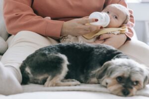 Bambino allattato con cane. Immagine di un articolo di Secondo Welfare sul bando di Regione Piemonte per i servizi dedicati a infanzia e animali domestici nelle PMI